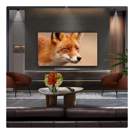 LG OLED48C56LB.AEK 48" 4K OLED Smart TV NEW MODEL - Image 12