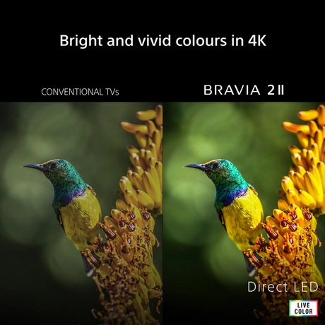 Alternative view of Sony K50S25M2PB.UKA 50" 4K BRAVIA 2 II Direct LED Google TV